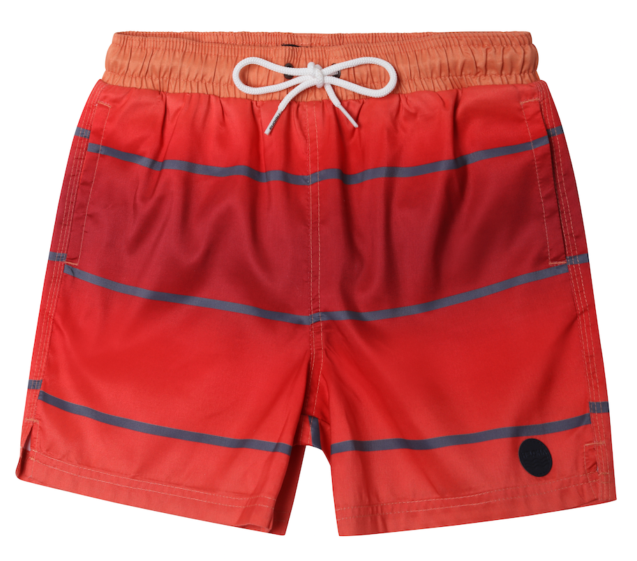 Shaka Bruh Swim Shorts