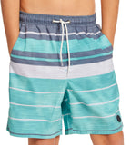 Line In the Sand Swim Shorts